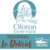 DEBRIEF Conseil Municipal du 30-04 avec Joel Adam
