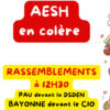 REPORTAGE Manifestation AESH Jardin Public 08 06 2026